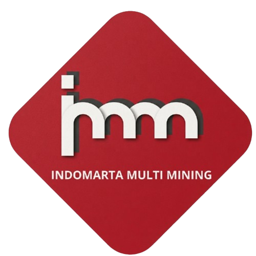 IMM logo